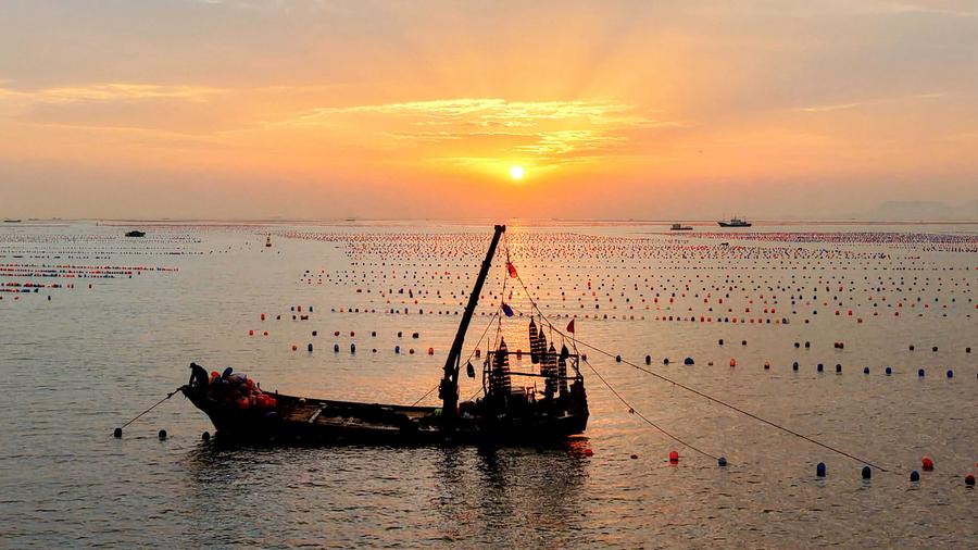 Shandong builds marine farms to enrich 