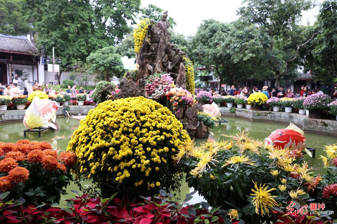 Autumn Chrysanthemum Exhibition opens in E China's Fujian Autumn Chrysanthemum Exhibition opens in E China's Fujian