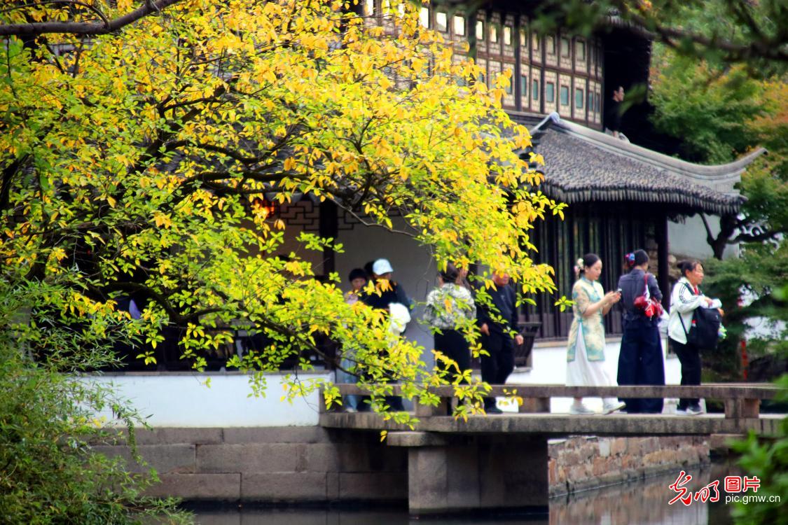 Early winter colors brighten Suzhou's Humble Administrator's Garden Early winter colors brighten Suzhou's Humble Administrator's Garden