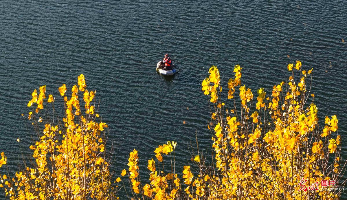 Autumn colors peak at Nanshan Changle Valley in Zunhua Autumn colors peak at Nanshan Changle Valley in Zunhua