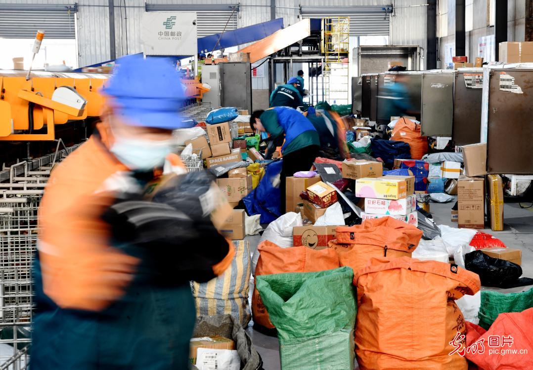 Double 11 shopping frenzy drives logistics across China Double 11 shopping frenzy drives logistics across China