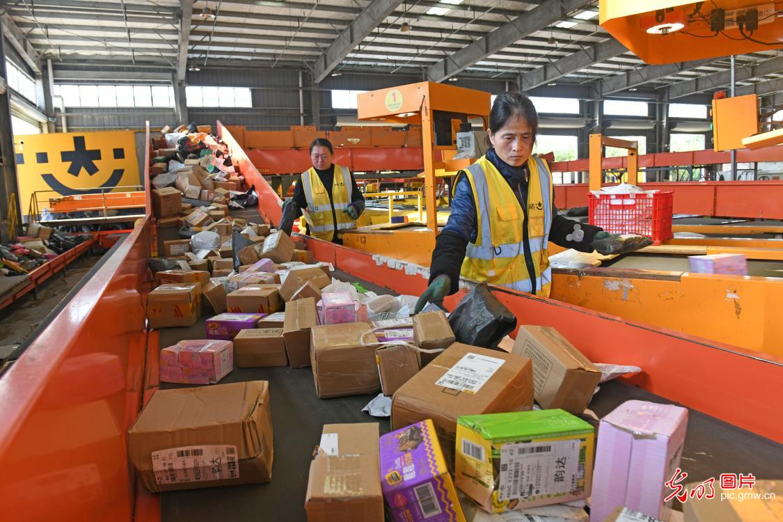 Double 11 shopping frenzy drives logistics across China Double 11 shopping frenzy drives logistics across China