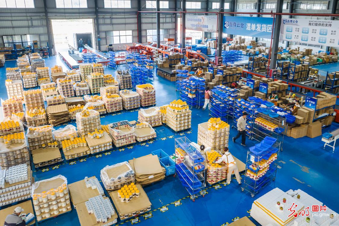 Double 11 shopping frenzy drives logistics across China Double 11 shopping frenzy drives logistics across China