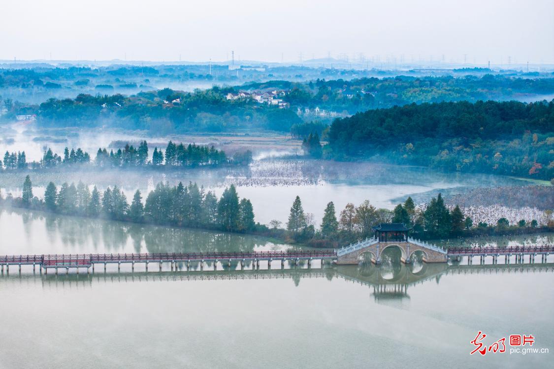 Mist veils lakeside park in E China's Anhui