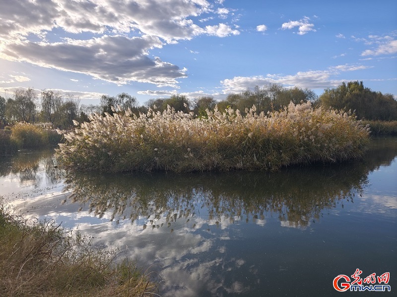 Autumn view at Beijing's Central Green Forest Park Autumn view at Beijing's Central Green Forest Park
