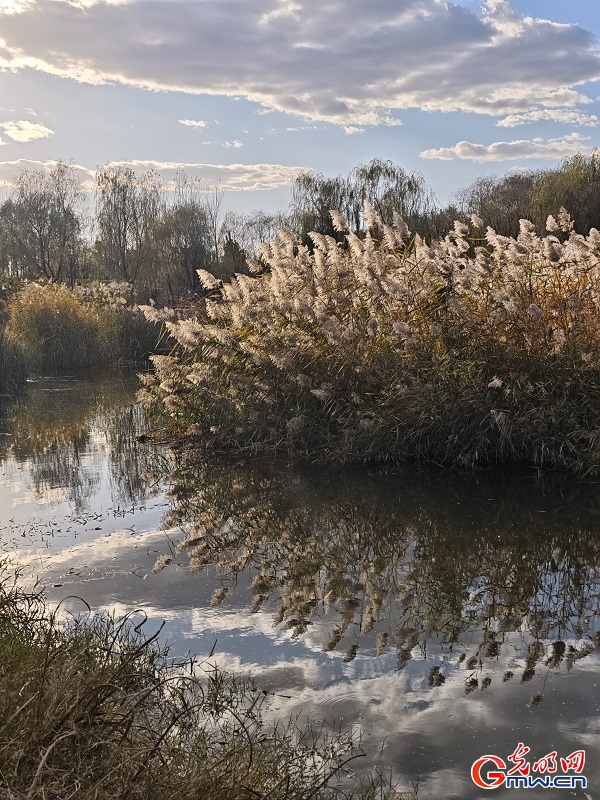 Autumn view at Beijing's Central Green Forest Park Autumn view at Beijing's Central Green Forest Park