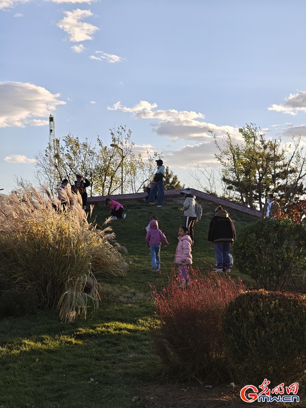 Autumn view at Beijing's Central Green Forest Park Autumn view at Beijing's Central Green Forest Park