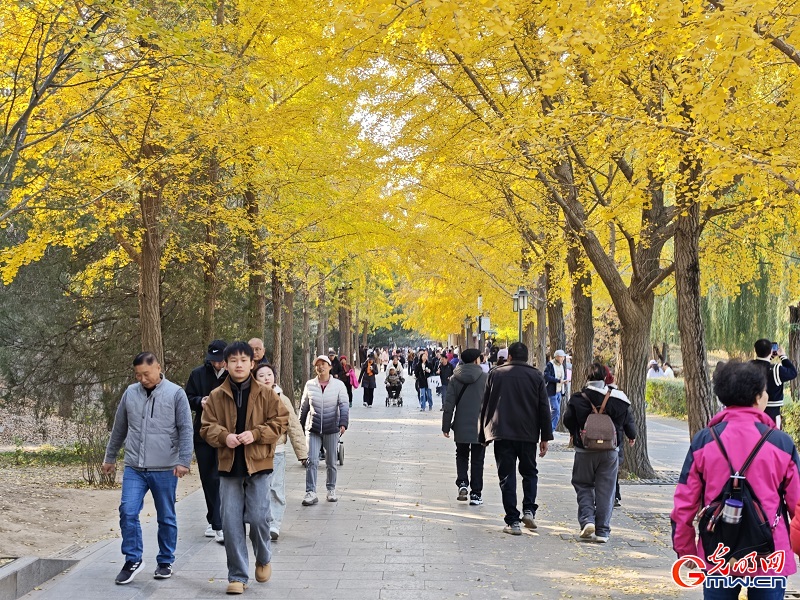 In pics: autumn scenery of Yuanmingyuan Park In pics: autumn scenery of Yuanmingyuan Park