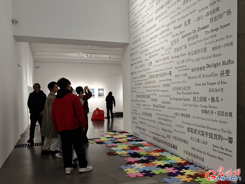 Chinese water-based woodblock youth program annual exhibition attracts visitors Chinese water-based woodblock youth program annual exhibition attracts visitors