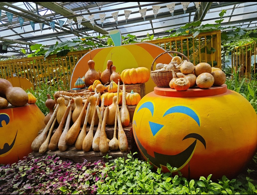 Beijing Women and Children Development Base: Beijing Garden of World’s Flowers Beijing Women and Children Development Base: Beijing Garden of World’s Flowers