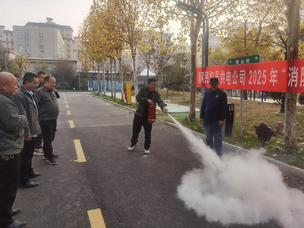 Special campaign launched to prevent power grid fire hazards in Shangqiu, C China's Henan Province