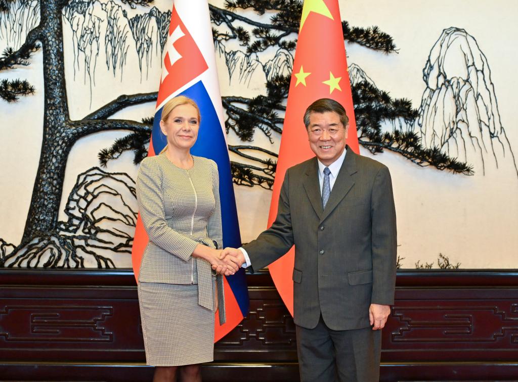 Chinese vice premier meets Slovak counterpart, vowing to deepen bilateral cooperation