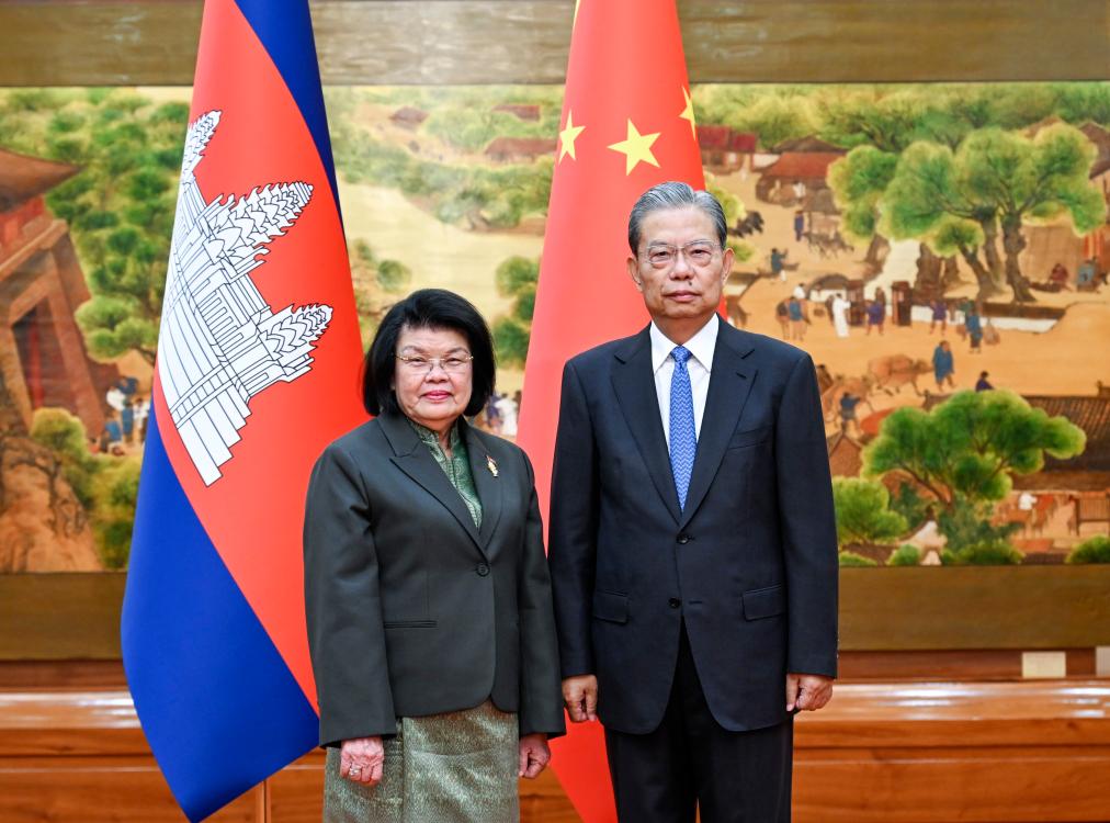 China's top legislator meets Cambodia's National Assembly president