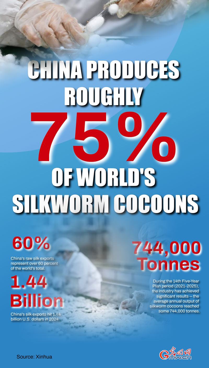 Poster: China produces roughly 75% of world's silkworm cocoons Poster: China produces roughly 75% of world's silkworm cocoons