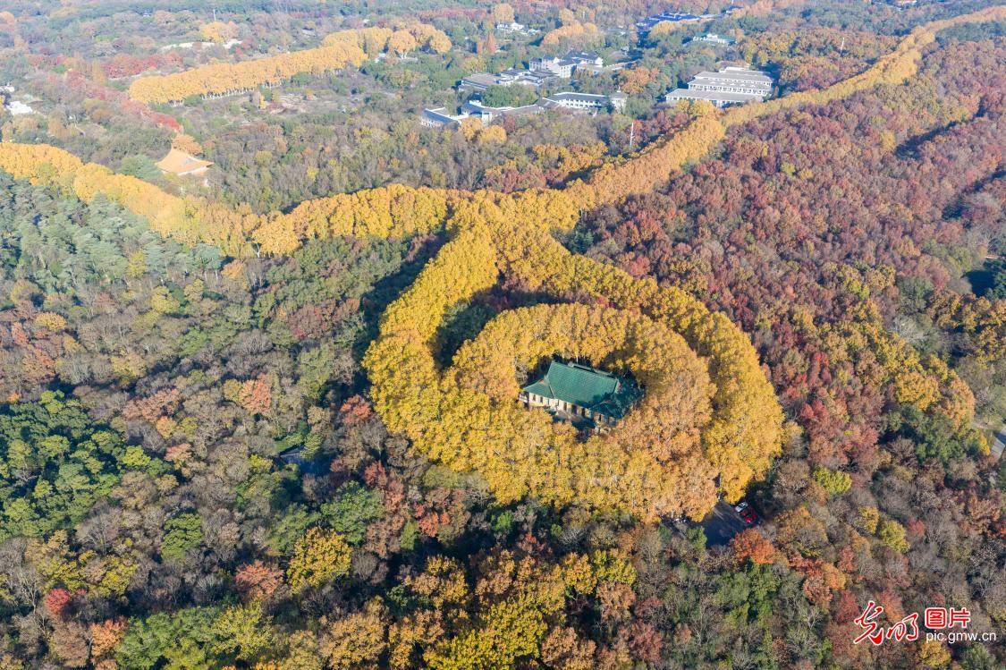 Autumn colors enrich scenic landscapes in Nanjing Autumn colors enrich scenic landscapes in Nanjing