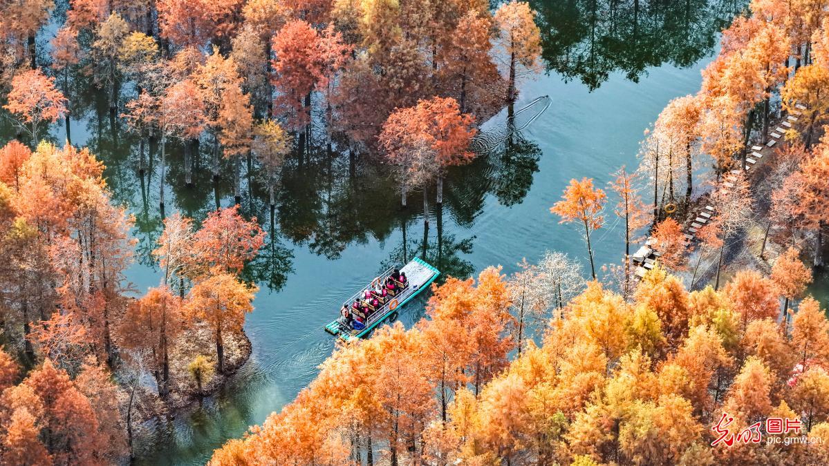Late-autumn colors brighten wetland landscapes in E China's Anhui Late-autumn colors brighten wetland landscapes in E China's Anhui