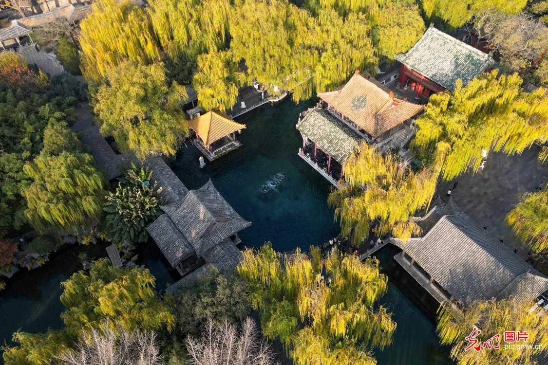 Colorful winter landscapes draw visitors in E China's Shandong Colorful winter landscapes draw visitors in E China's Shandong