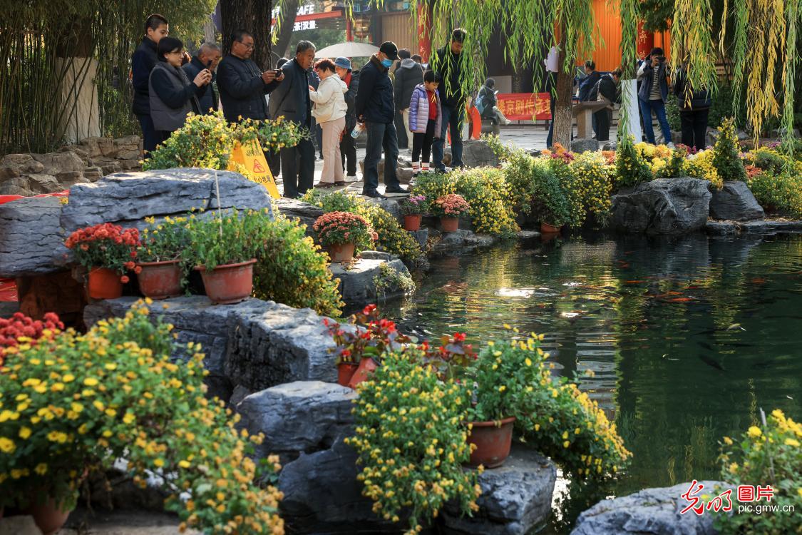 Colorful winter landscapes draw visitors in E China's Shandong Colorful winter landscapes draw visitors in E China's Shandong