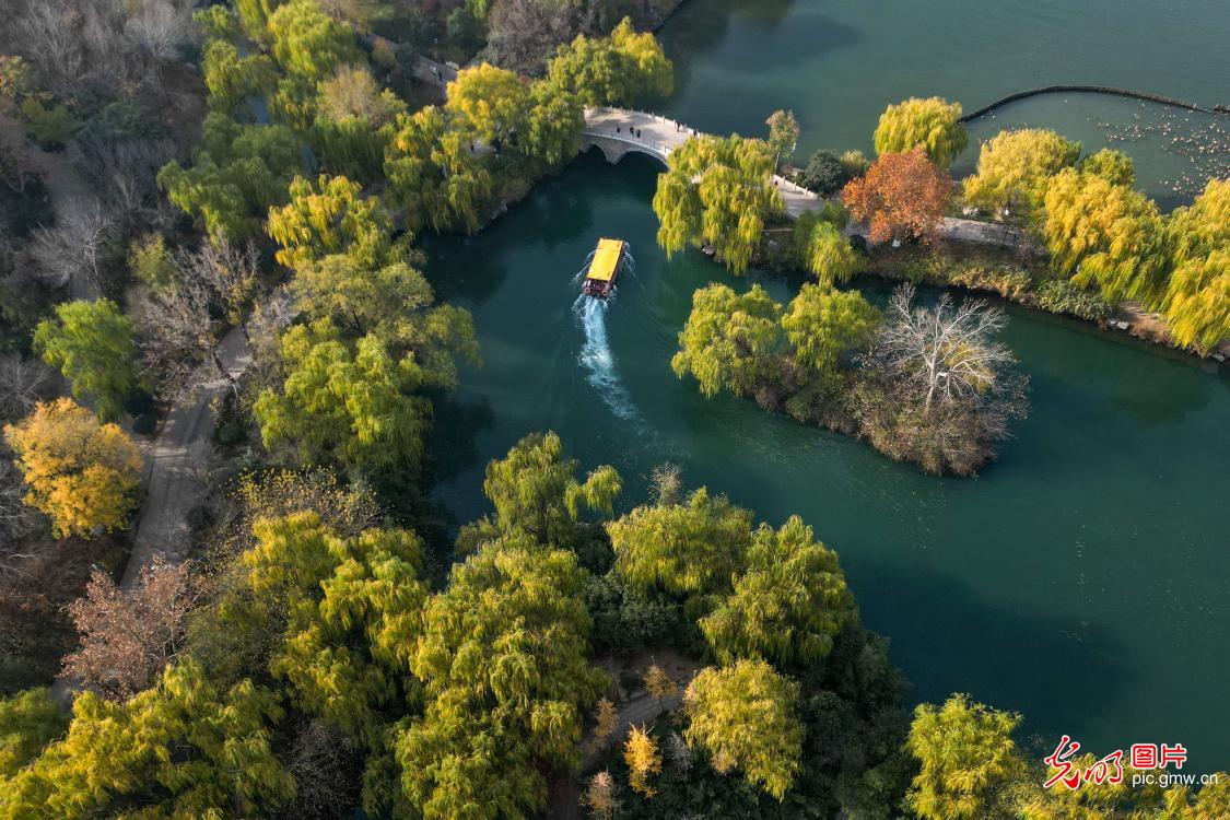Colorful winter landscapes draw visitors in E China's Shandong Colorful winter landscapes draw visitors in E China's Shandong
