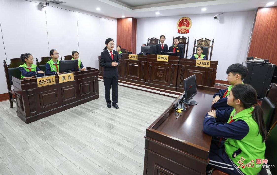 In pics: Nationwide legal education activities mark National Constitution Day In pics: Nationwide legal education activities mark National Constitution Day