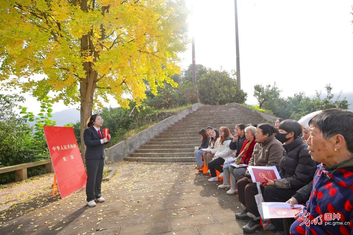 In pics: Nationwide legal education activities mark National Constitution Day In pics: Nationwide legal education activities mark National Constitution Day
