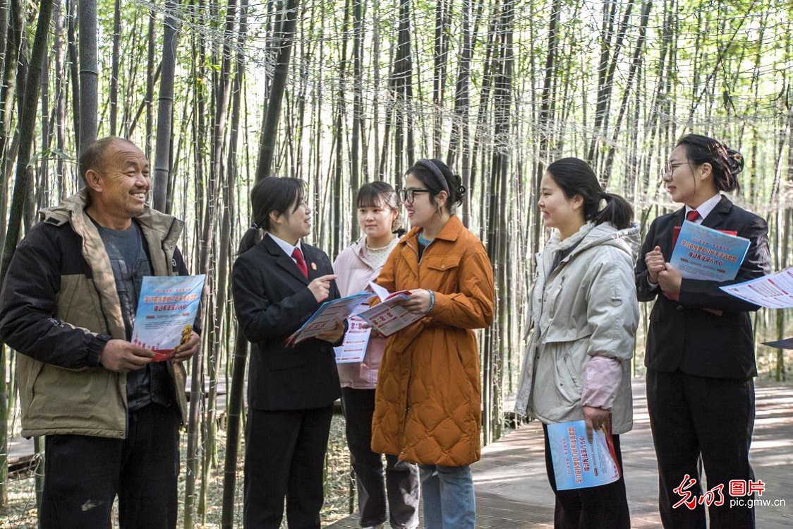 In pics: Nationwide legal education activities mark National Constitution Day In pics: Nationwide legal education activities mark National Constitution Day