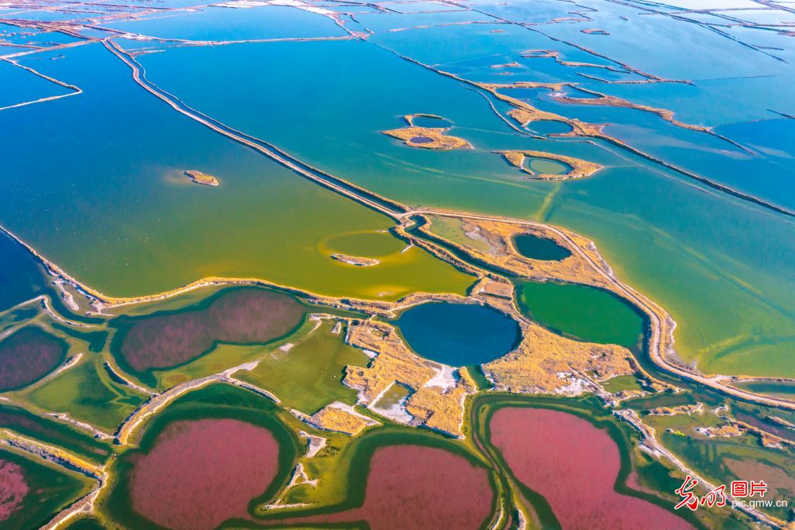 In pics: Colorful salt lake in N China's Shanxi