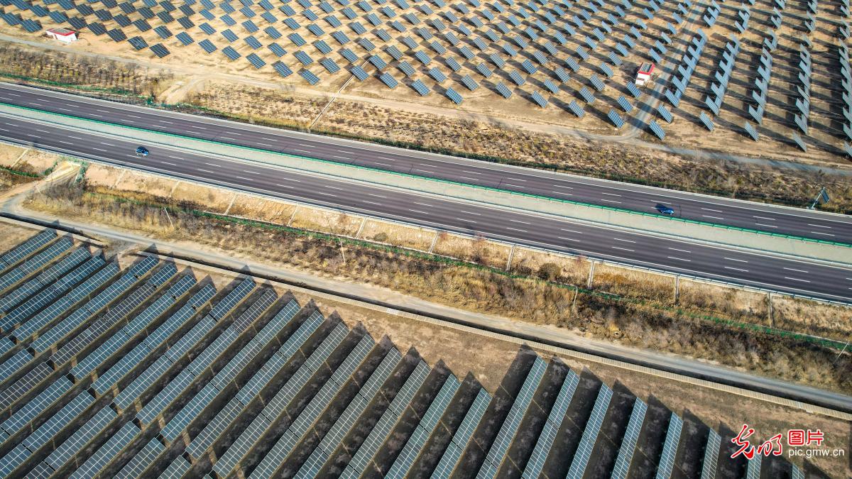 Solar farm powers green growth in NW China's Ningxia
