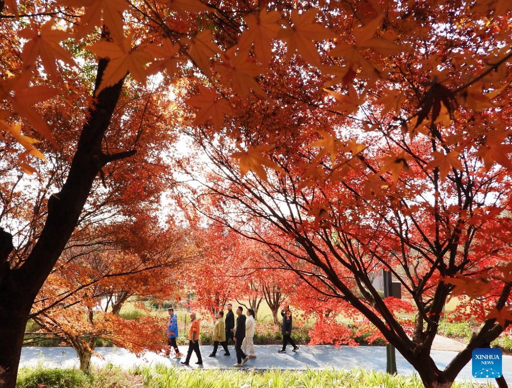 Winter scenery across China