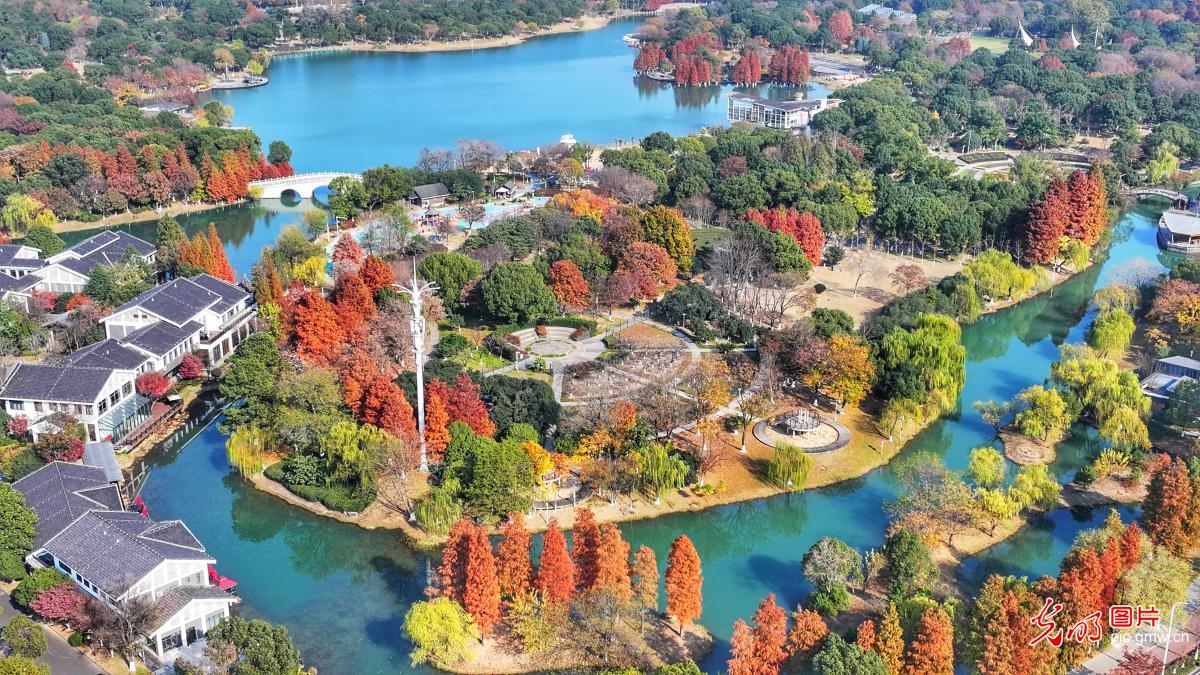 Picturesque winter scene at Liangfeng Ecological Park in E China's Jiangsu