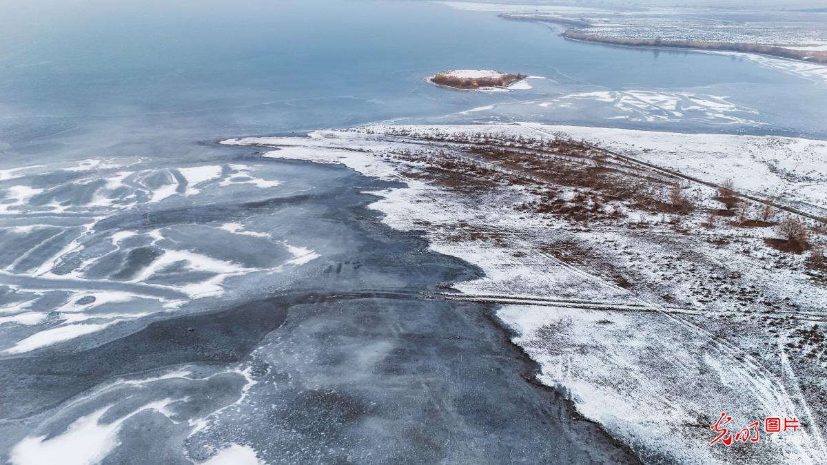 Winter scenery at Xiaohaizi Wetland in NW China's Xinjiang