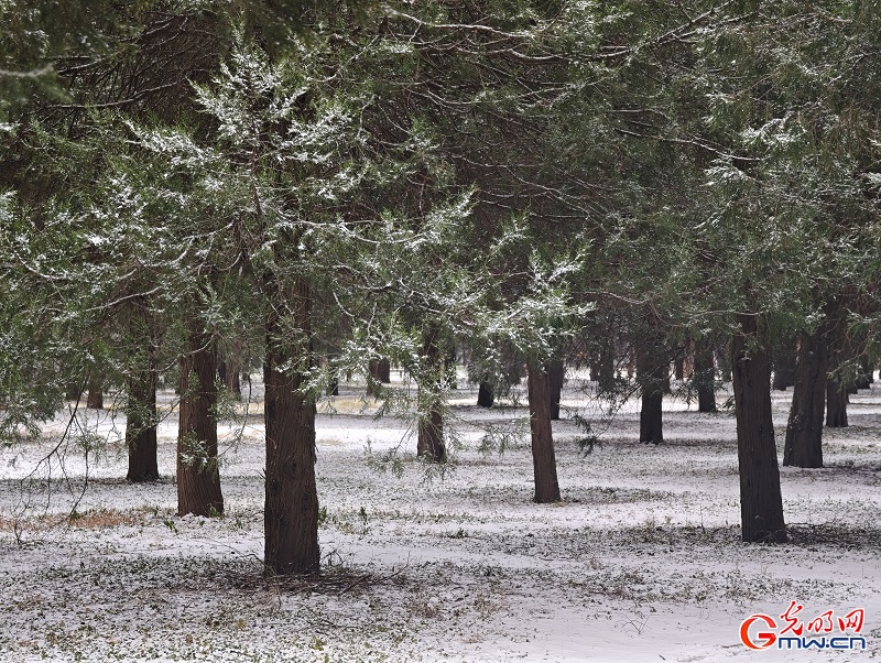 Snowfall brings serene winter beauty to the Temple of Heaven Snowfall brings serene winter beauty to the Temple of Heaven