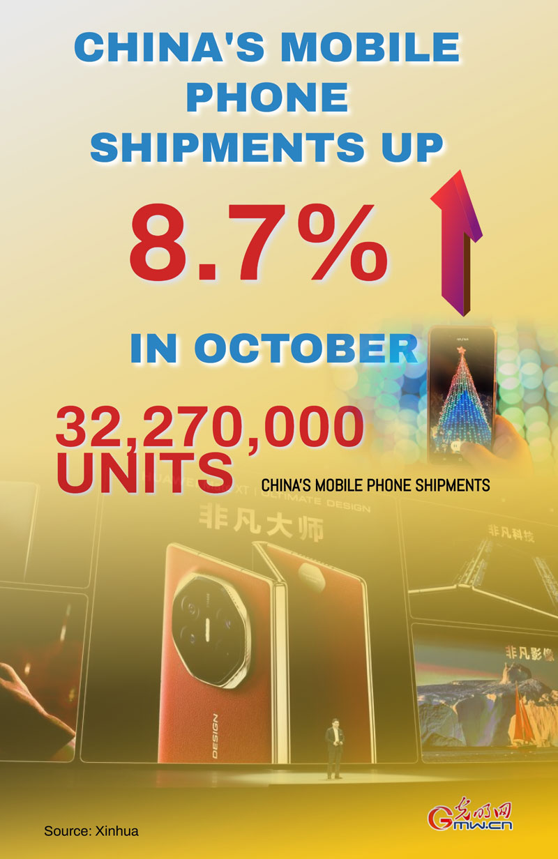 Poster: China's mobile phone shipments up 8.7 pct in October