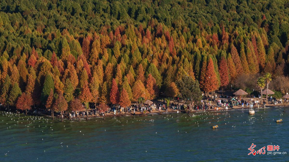 Scenery of Laoyuhe Wetland Park in Kunming, SW China Scenery of Laoyuhe Wetland Park in Kunming, SW China