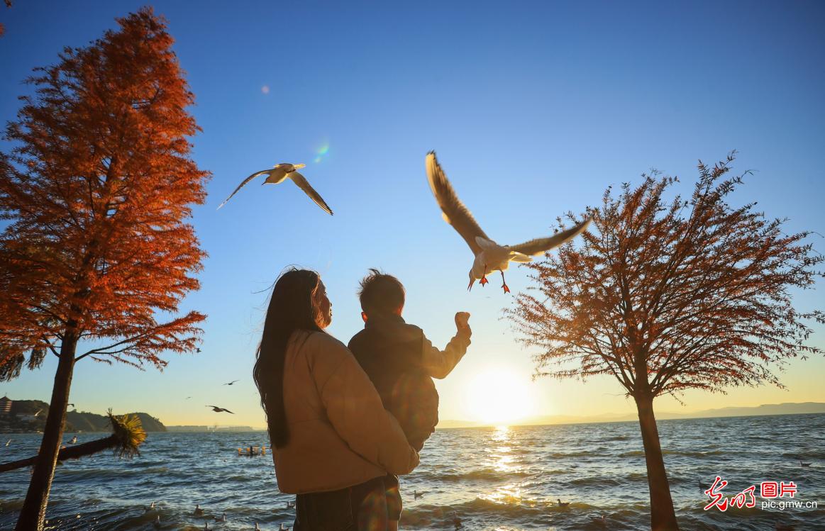 Scenery of Laoyuhe Wetland Park in Kunming, SW China Scenery of Laoyuhe Wetland Park in Kunming, SW China