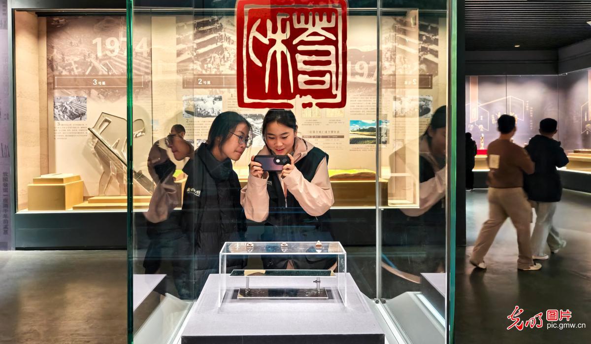 Han Dynasty treasures draw crowds in E China's Anhui
