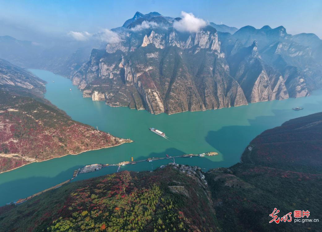 Autumn foliage reaches peak season in Wushan Autumn foliage reaches peak season in Wushan