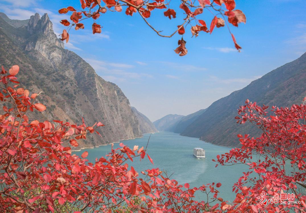 Autumn hues linger along the Yangtze in Wuxia Gorge