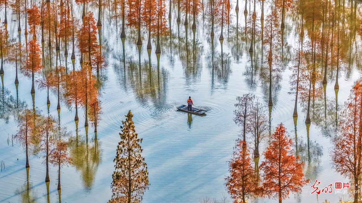 Crab farmers tend aquaculture ponds in E China's Jiangsu