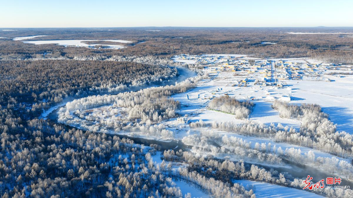 Rime scenery at Dapingtai , NE China's Heilongjiang