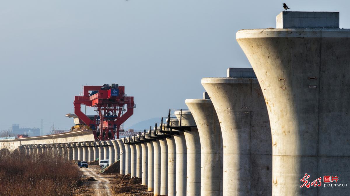 Construction progresses on key Shandong high-speed rail link