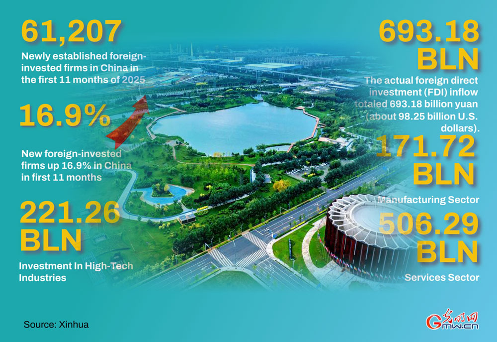 Poster: New foreign-invested firms up 16.9% in China in first 11 months