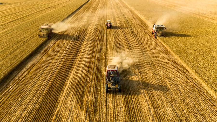 Yearender: Tech-driven rural revitalization takes roots across China