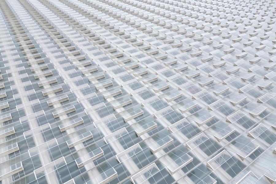 Yearender: Tech-driven rural revitalization takes roots across China