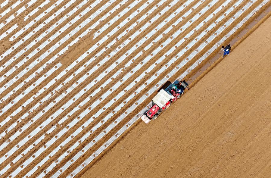 Yearender: Tech-driven rural revitalization takes roots across China