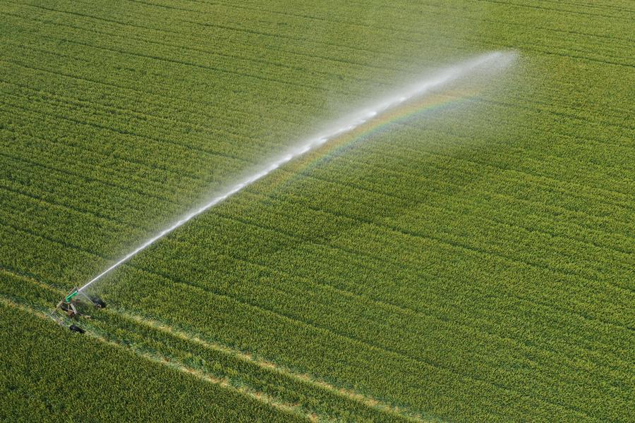 Yearender: Tech-driven rural revitalization takes roots across China