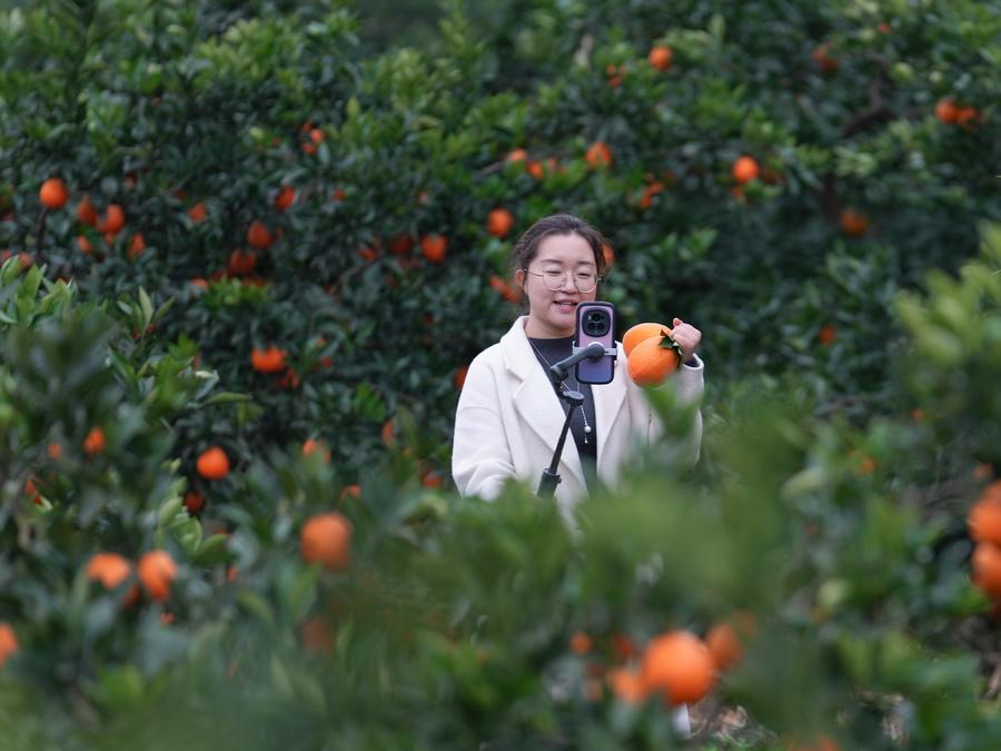 Yearender: Tech-driven rural revitalization takes roots across China