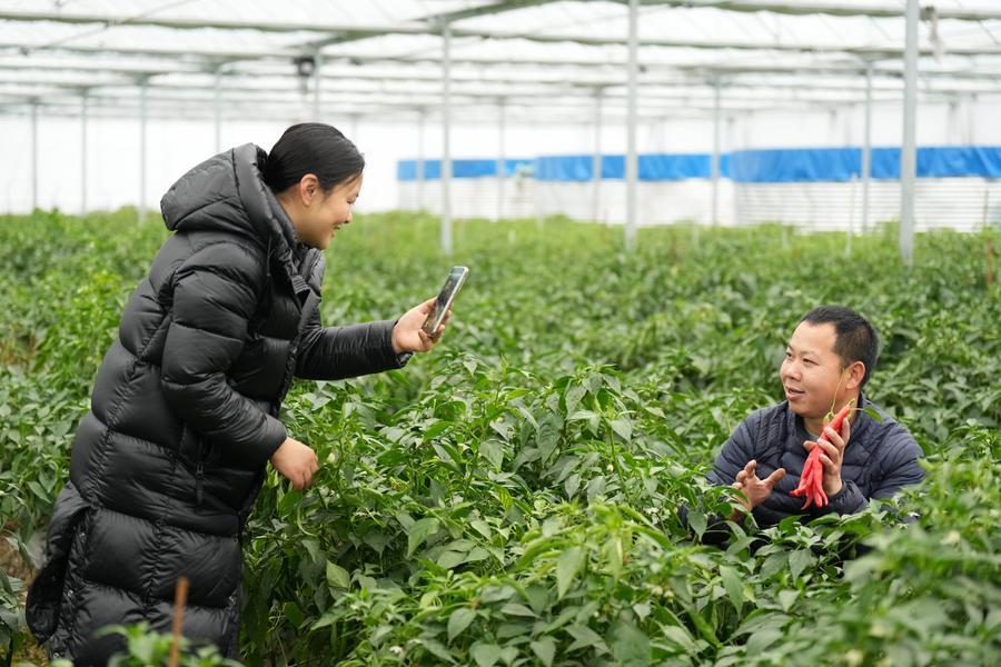 Yearender: Tech-driven rural revitalization takes roots across China