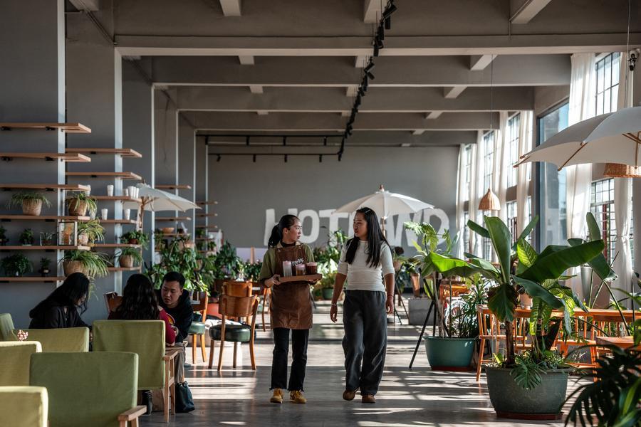 Yearender: Tech-driven rural revitalization takes roots across China