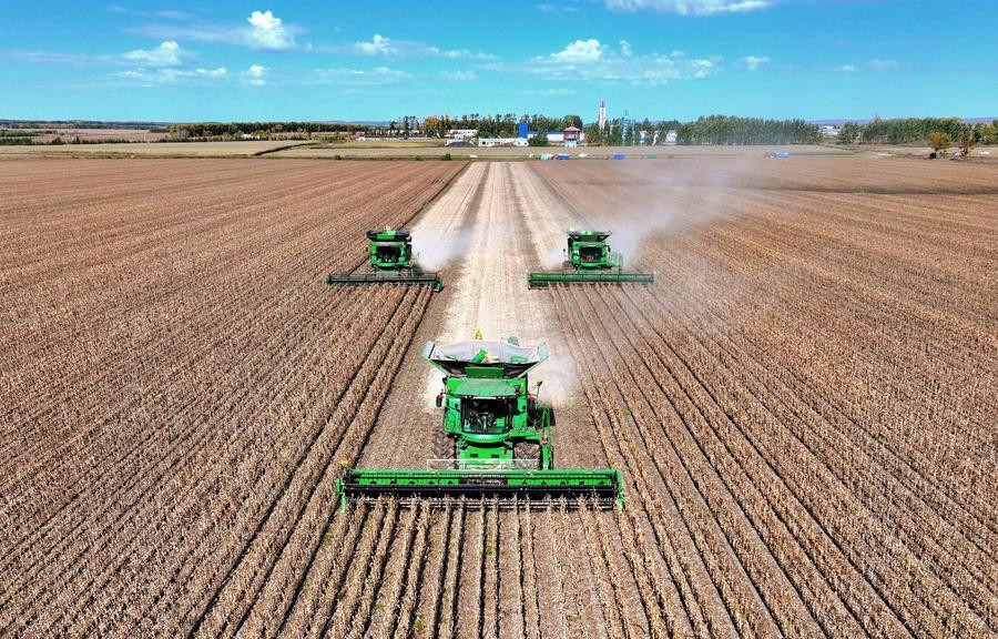 Yearender: Tech-driven rural revitalization takes roots across China